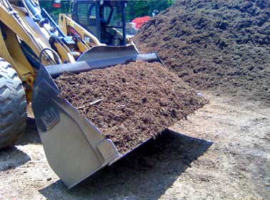 bucketloader with organic bark mulch